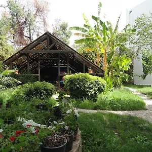 Ece Veganhotel Bodrum Göltürkbükü